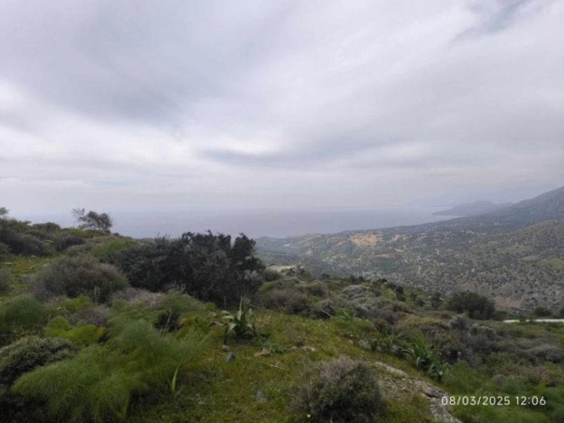 Sakturia Kreta, Sacturia Baugrundstück 2.367m² zu verkaufen Grundstück kaufen